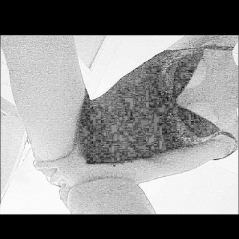 Benedict - Luchsingen - Glaris | Rencontre Mature