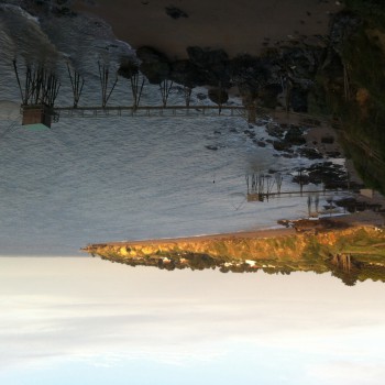 Kaitlyne - Regensdorf - Zurich | Rencontre Mature