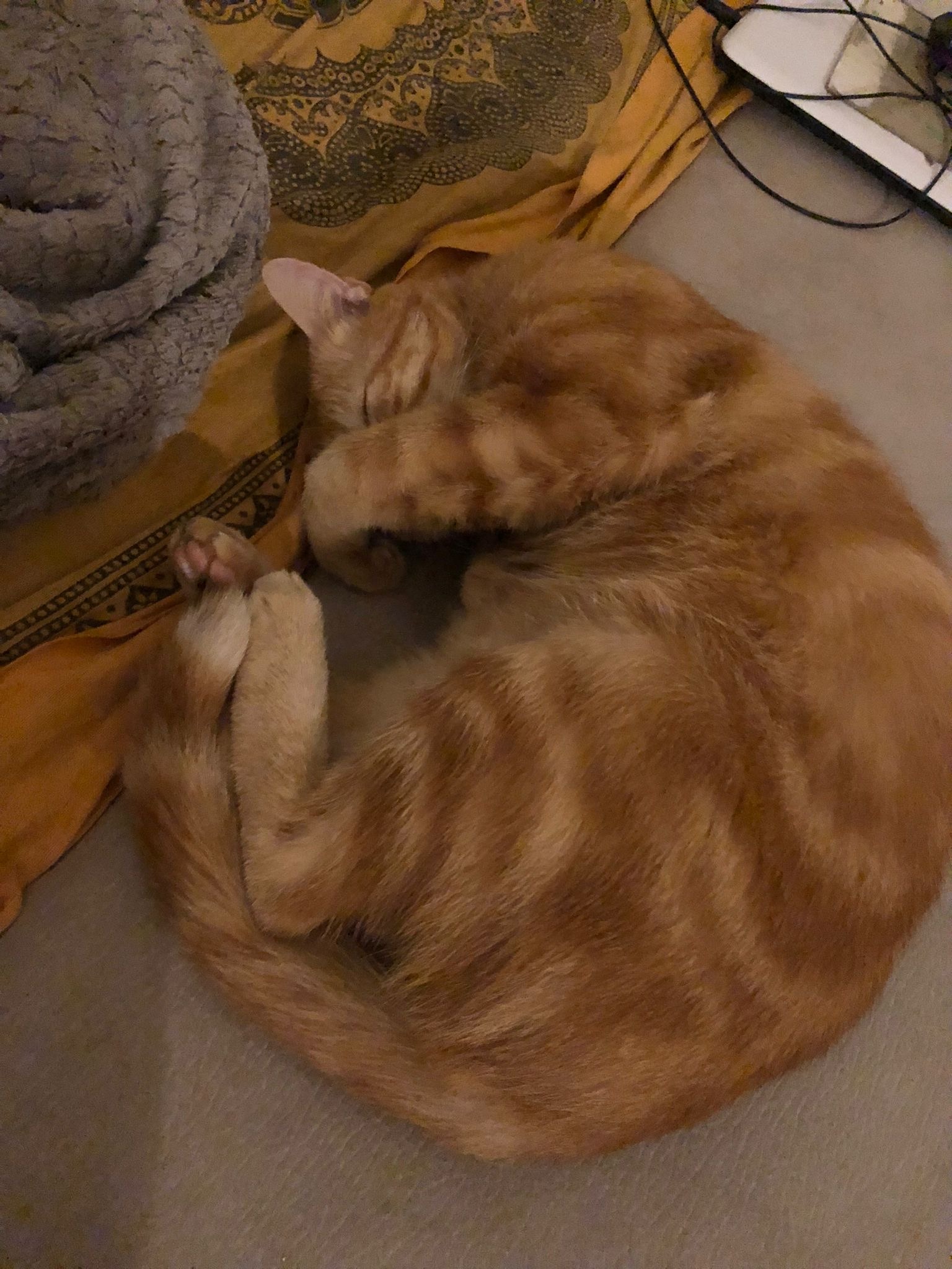 Pierre-georges - Inwil - Lucerne | Rencontre Mature