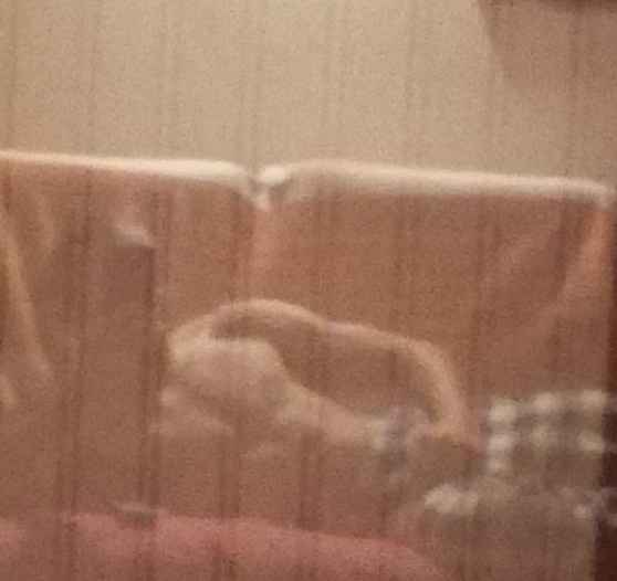 Kilan - Chevroux - Vaud | Rencontre Mature