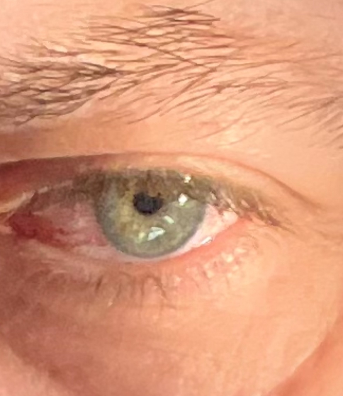 Henoc - Etoy - Vaud | Rencontre Mature